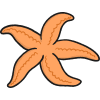 starfish
