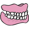 teeth
